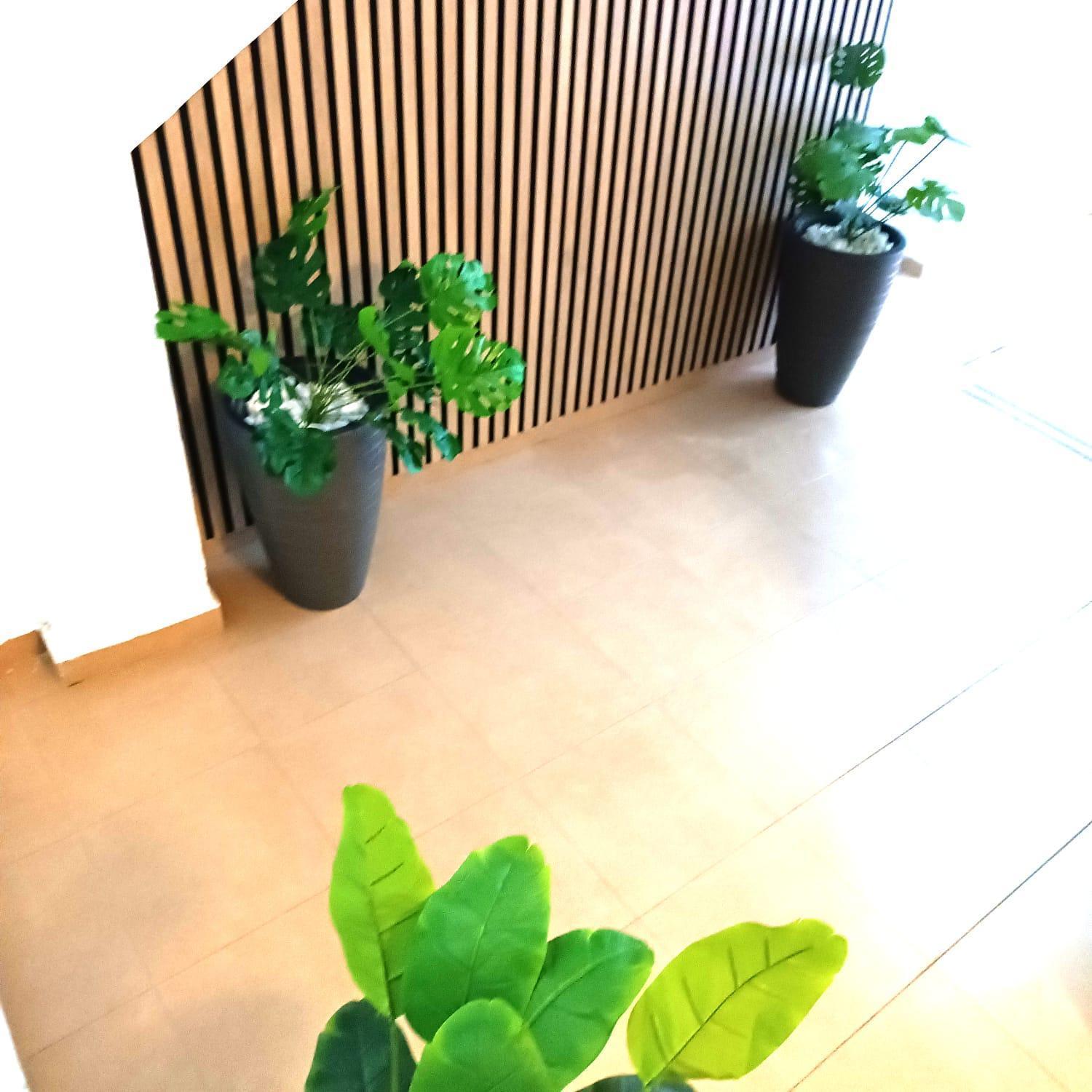 Larios Apartment Málaga