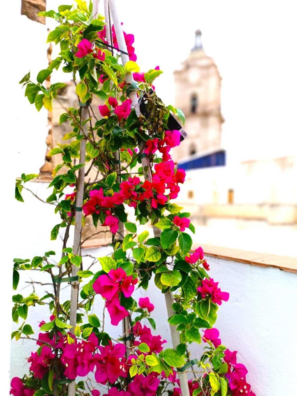Apartment Larios Málaga